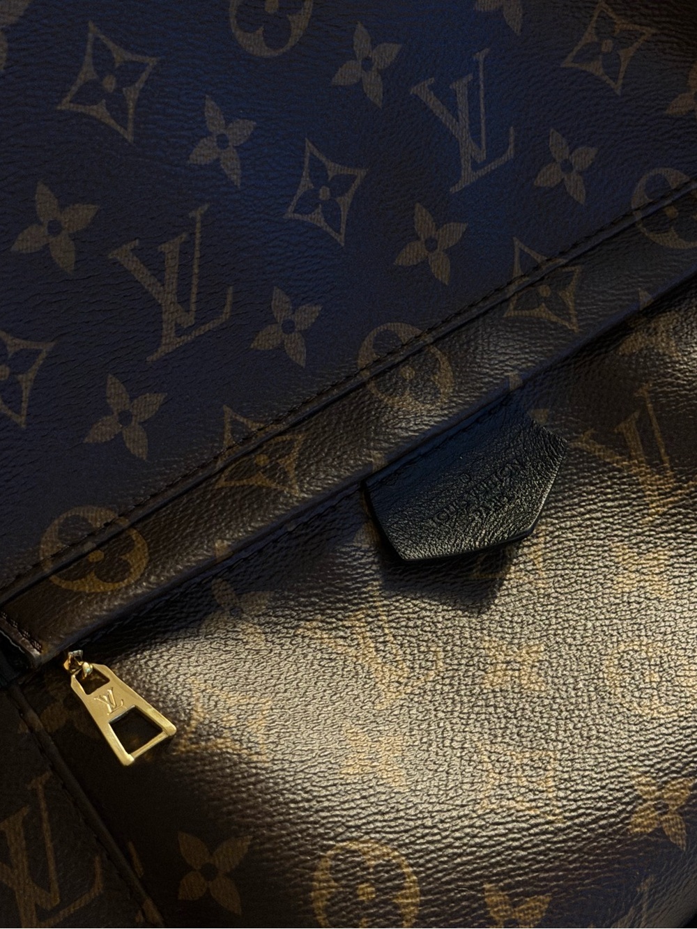LOUIS VUITTON Monogram Canvas Palm Springs MM Backpack Bag - Picture 12 of 14